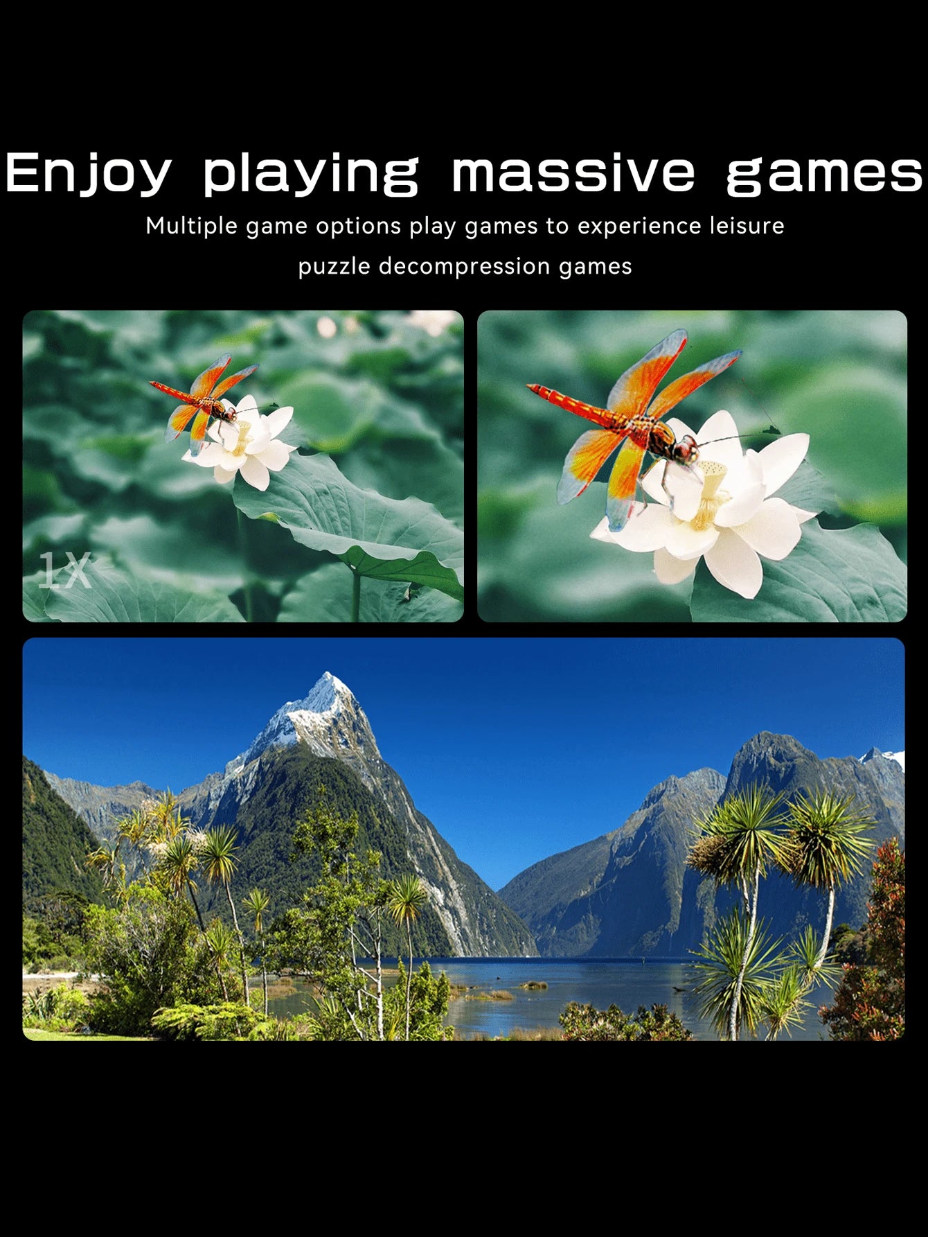 16