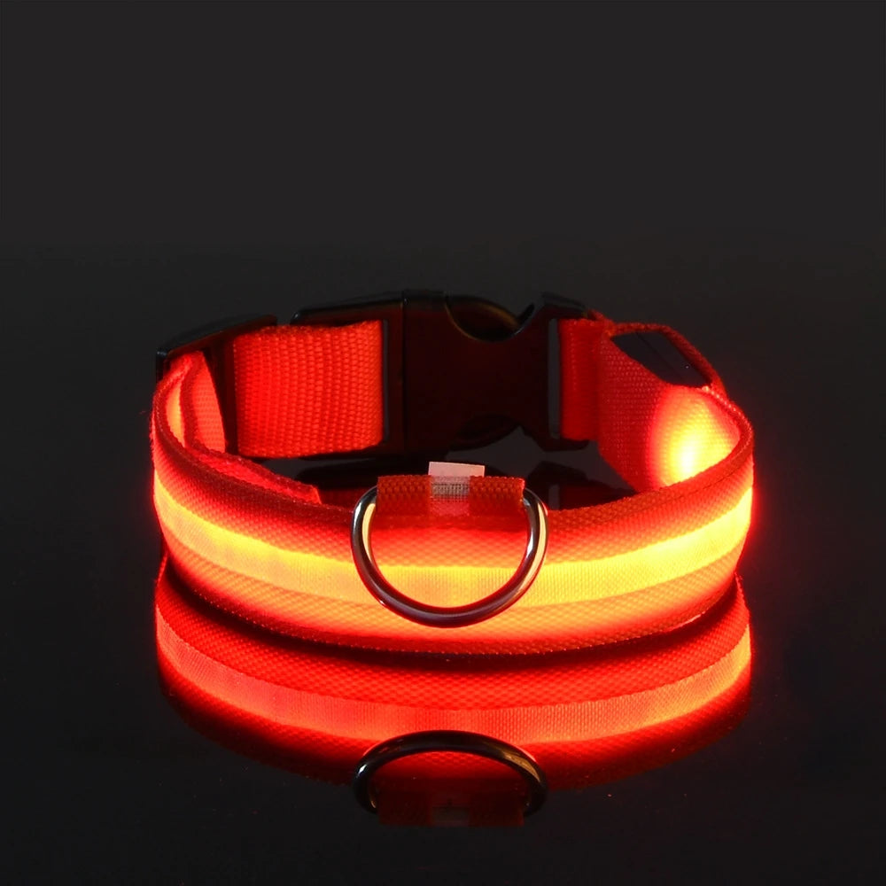 LED Glow Dog Safety Leash