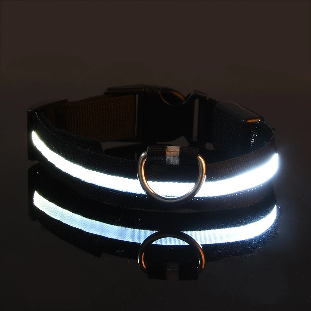 LED Glow Dog Safety Leash