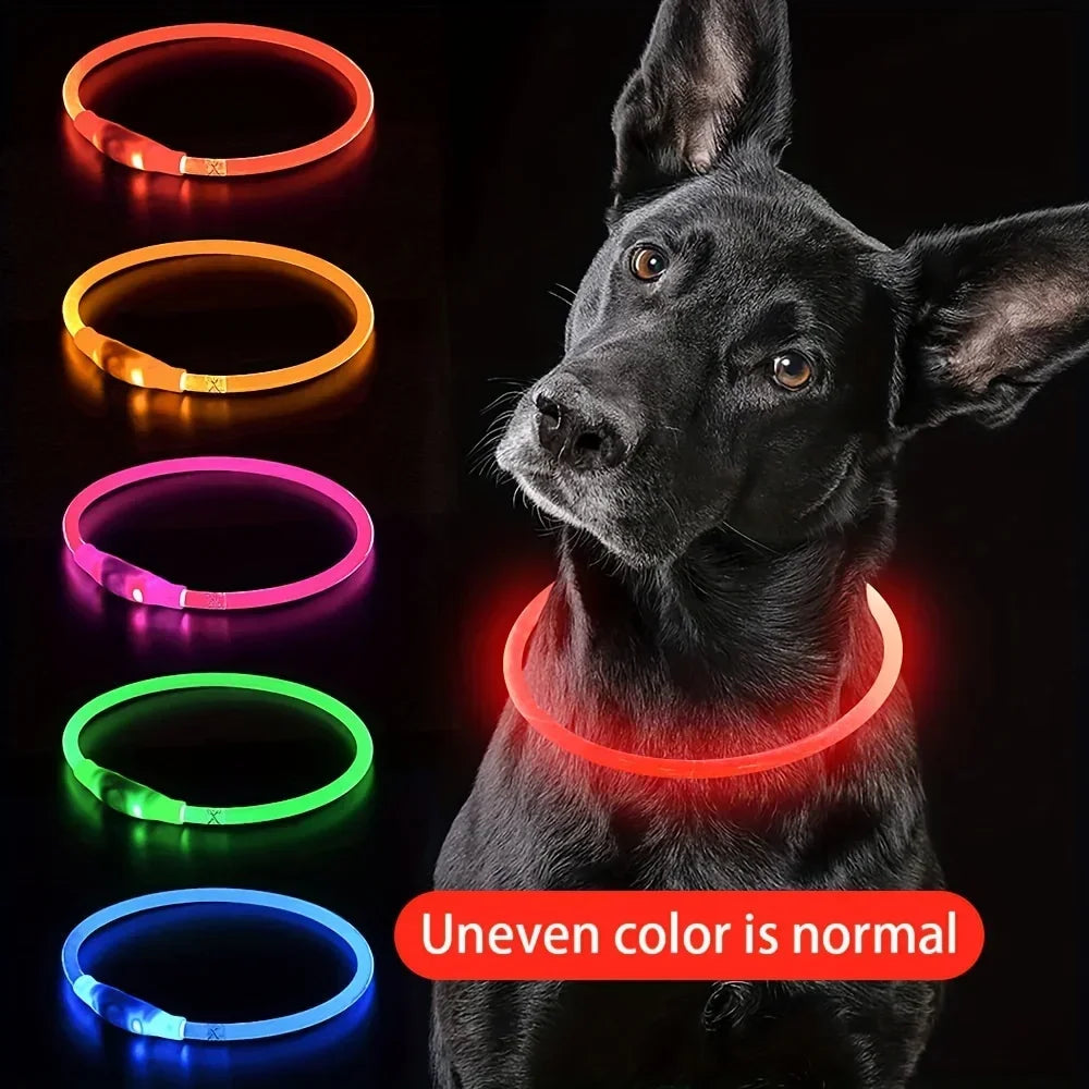 USB Rechargeable LED Dog Collar