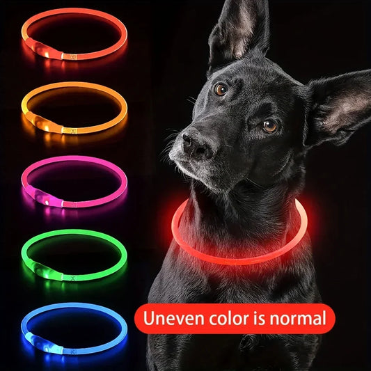USB Rechargeable LED Dog Collar