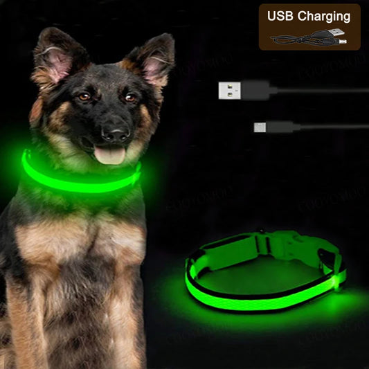 LED Luminous Dog Cat Collar