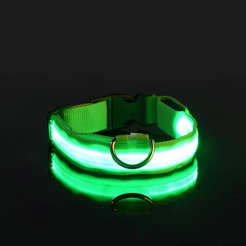 LED Glow Dog Safety Leash