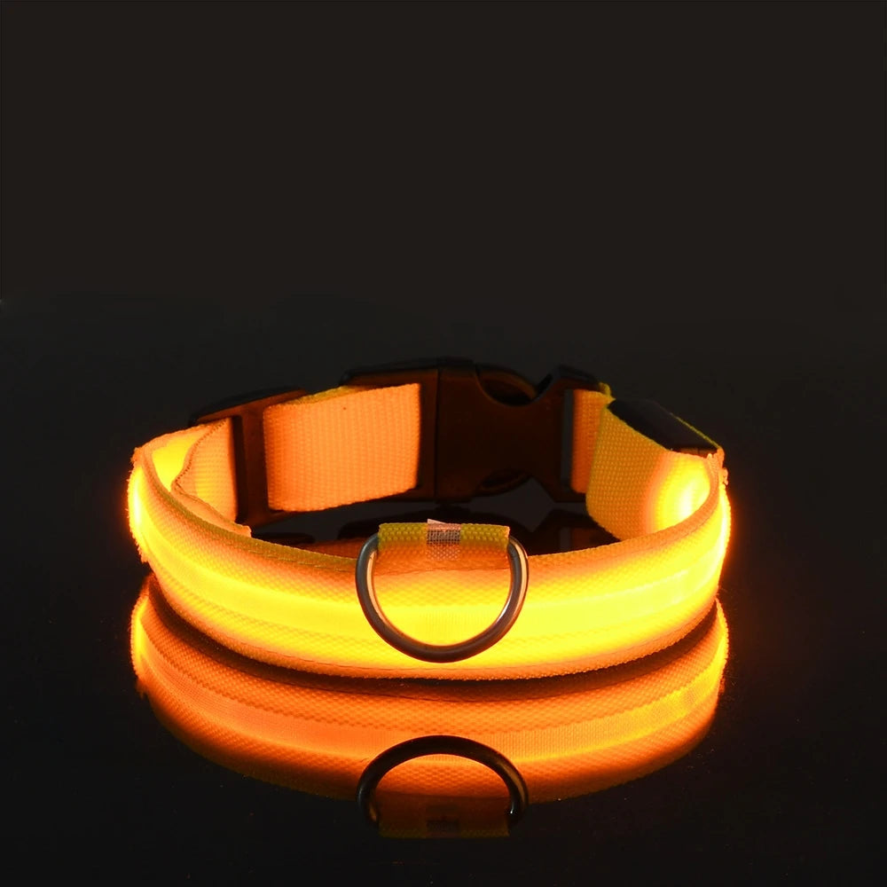 LED Glow Dog Safety Leash