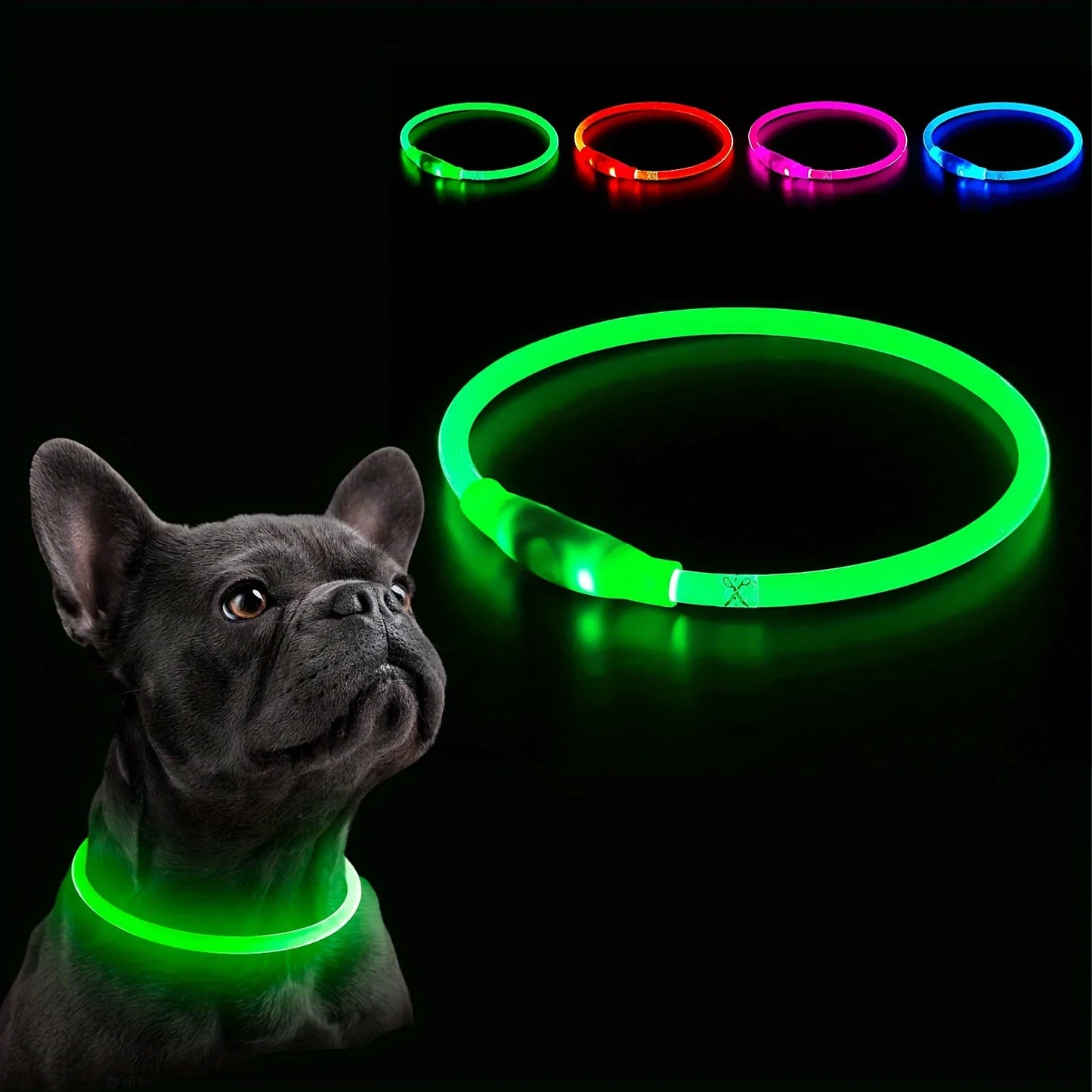 USB Rechargeable LED Dog Collar