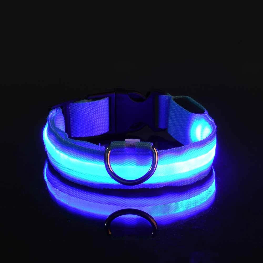 LED Glow Dog Safety Leash