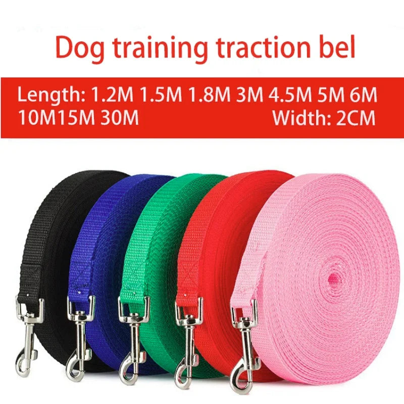 Durable Nylon Dog Leash