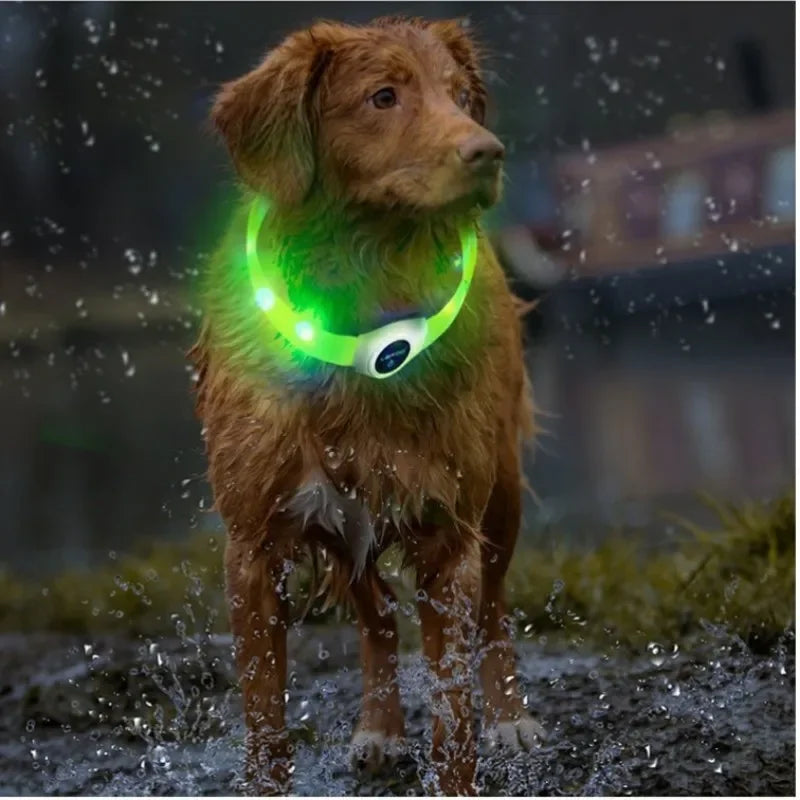 LED Luminous Dog Collar USB