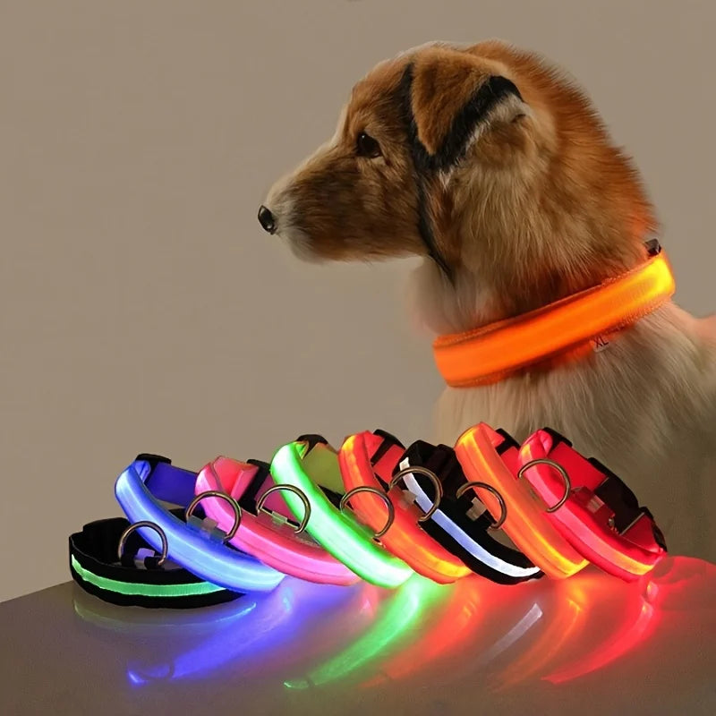 LED Glow Dog Safety Leash