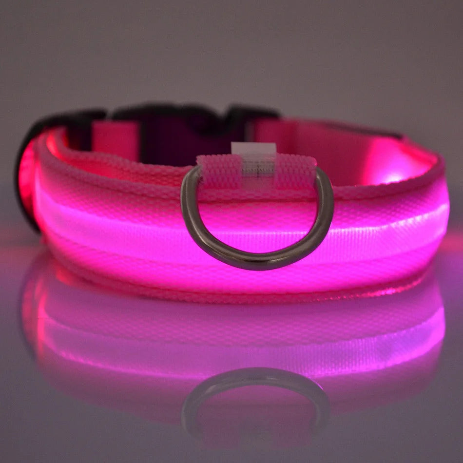 LED Glow Dog Safety Leash