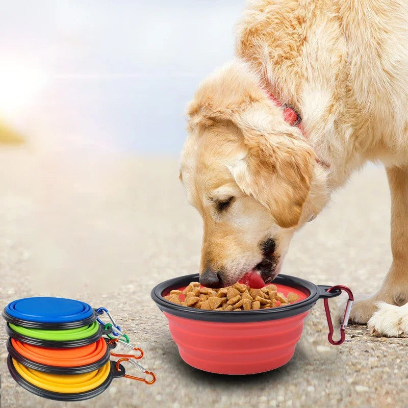 Collapsible Portable Dog Bowl