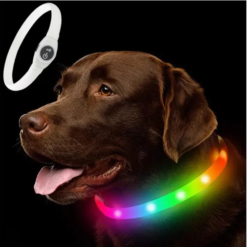 LED Luminous Dog Collar USB
