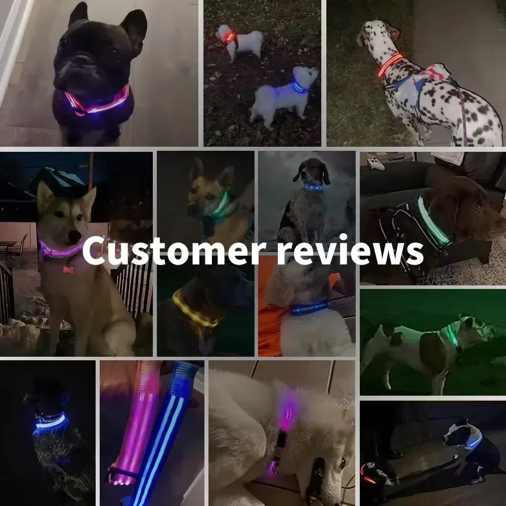 LED Rechargeable Dog Glow Collar