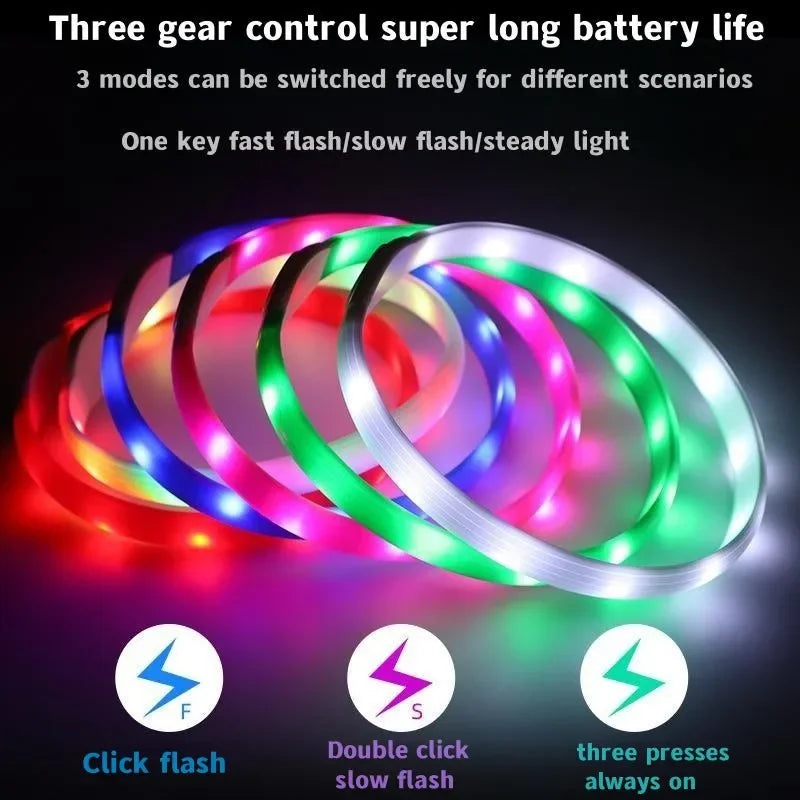 LED Luminous Dog Collar USB