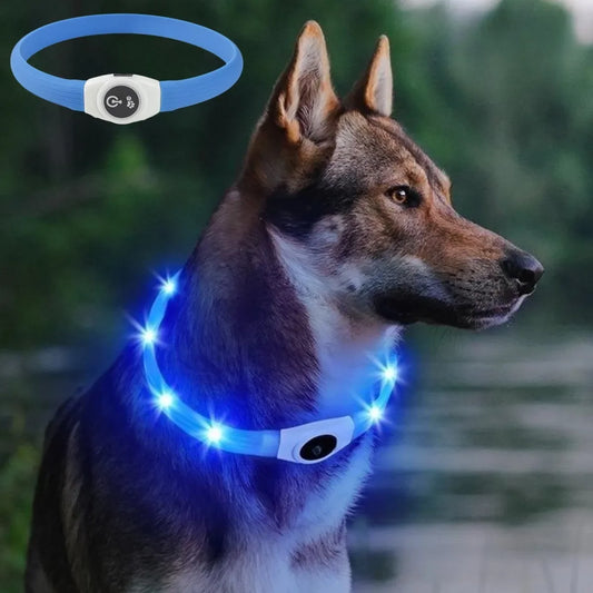 LED Luminous Dog Collar USB