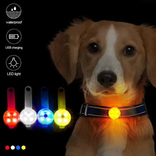 LED Safety Dog Collar