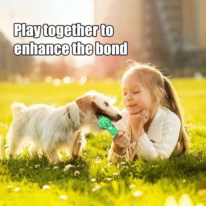 Natural Rubber Dog Chew Toy